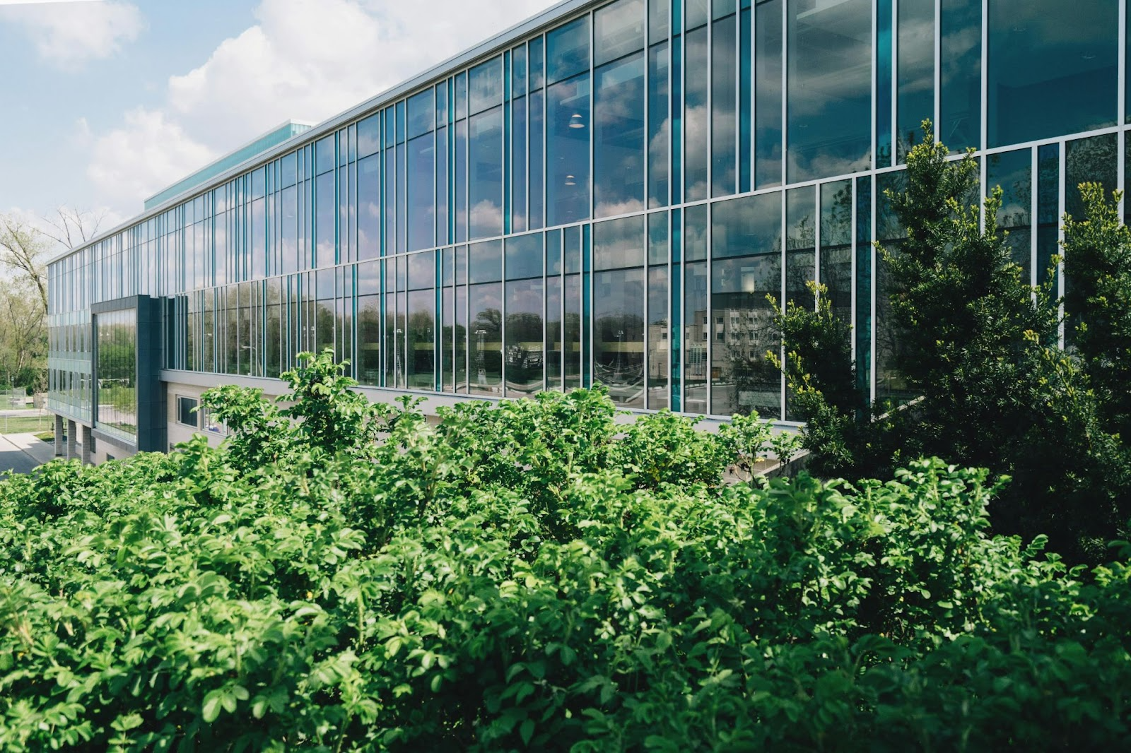 green plants in front of large glass building