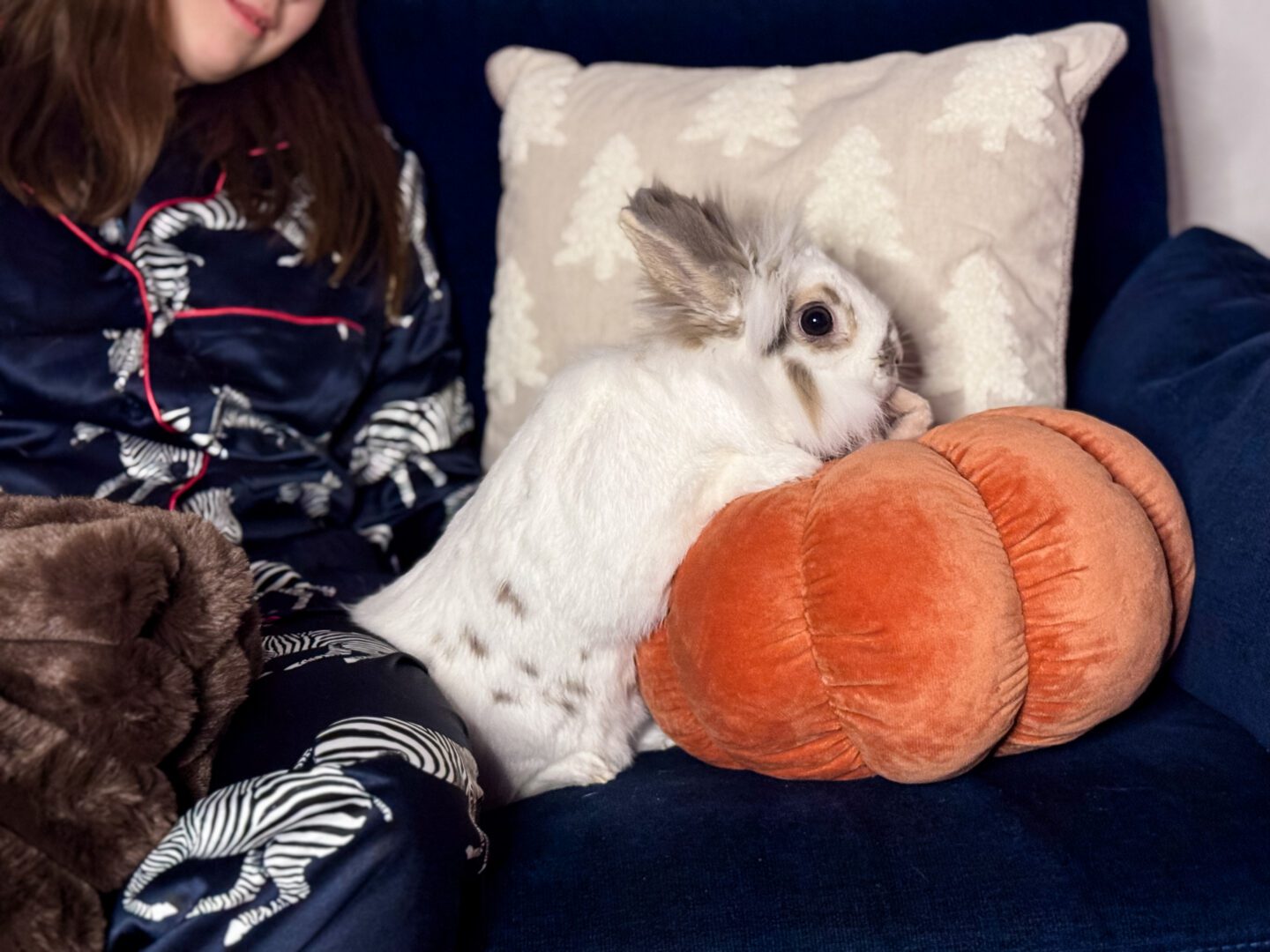 white rabbit climbing onto orange pumpkin cushion next to cushion and person in pyjamas