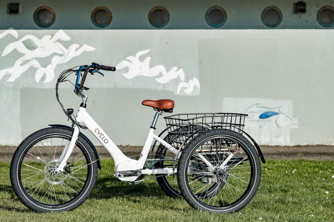 white 3-wheeled electric bike stood on grass