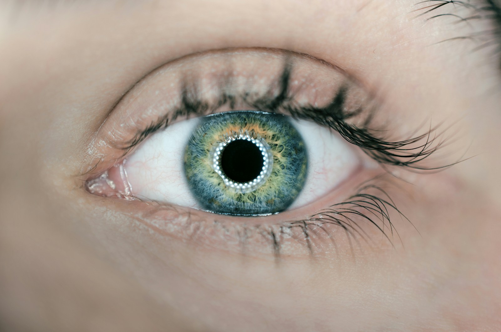 person showing green and black eye closeup photography