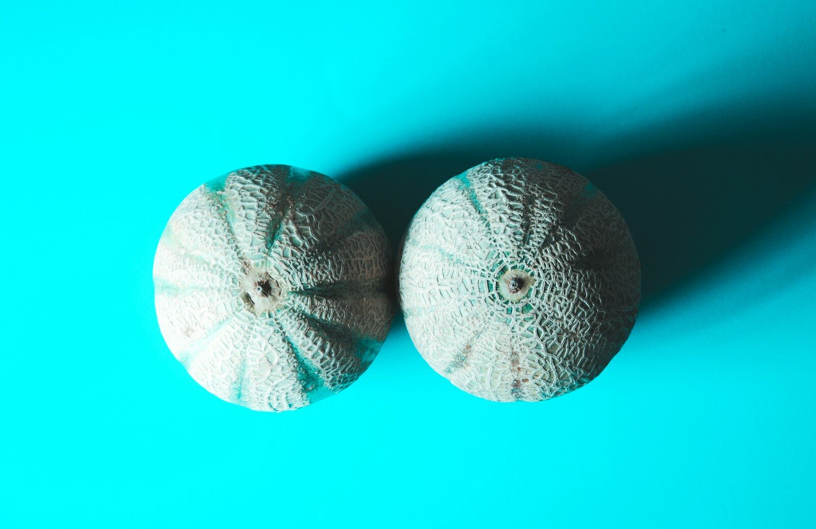 two melons side by side on bright blue surface