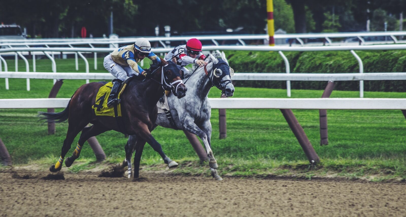 two men riding horse while racing