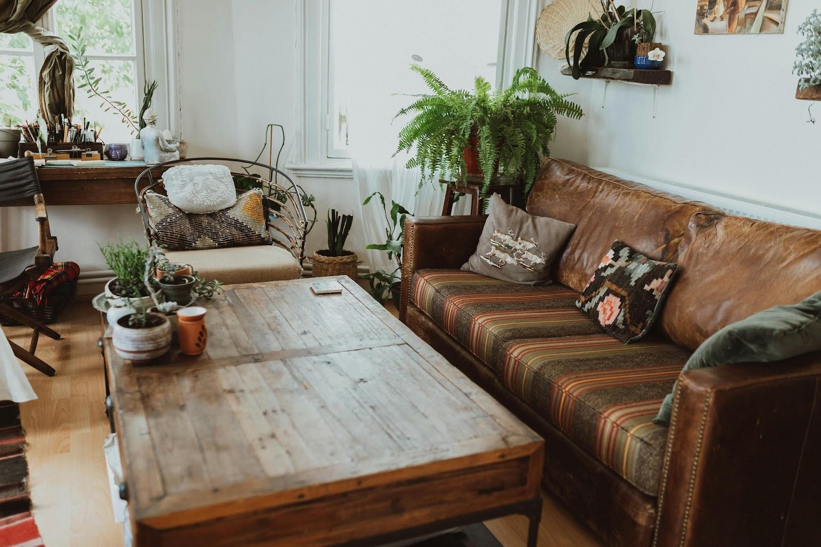 living room with colours and patterns, a plant and a sofa and table