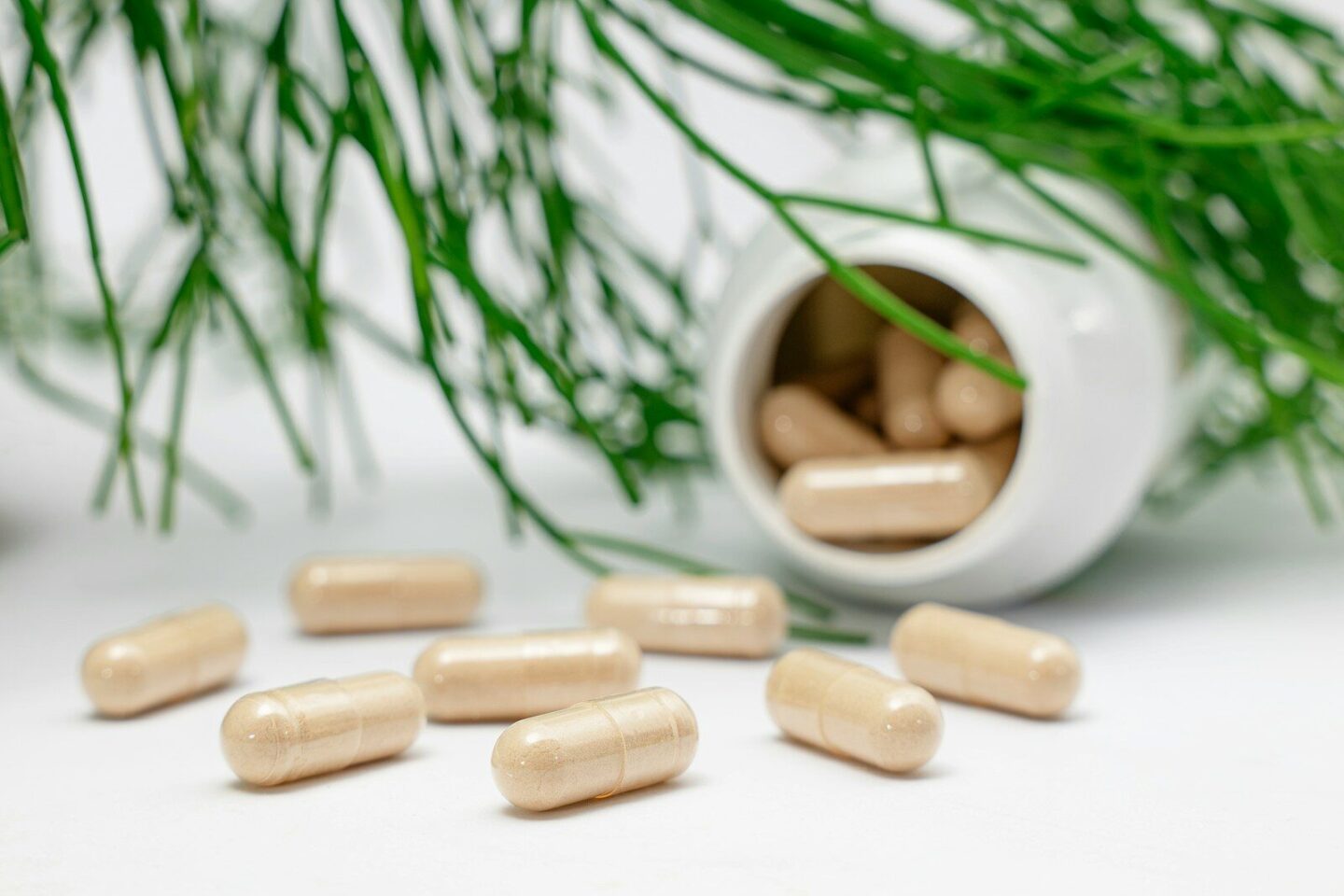 some tablets on white surface and a plant