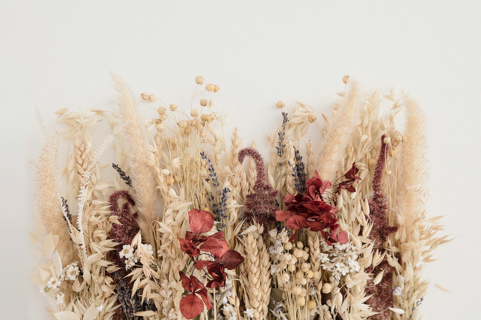 brown and red dried flowers laid out on white surface