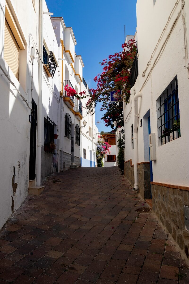 street with white houses each side, with flowers on