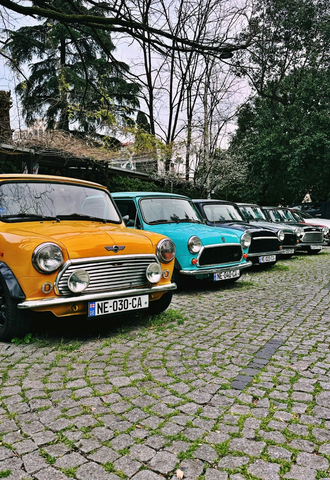 row of classic mini's parked in a line against a wall
