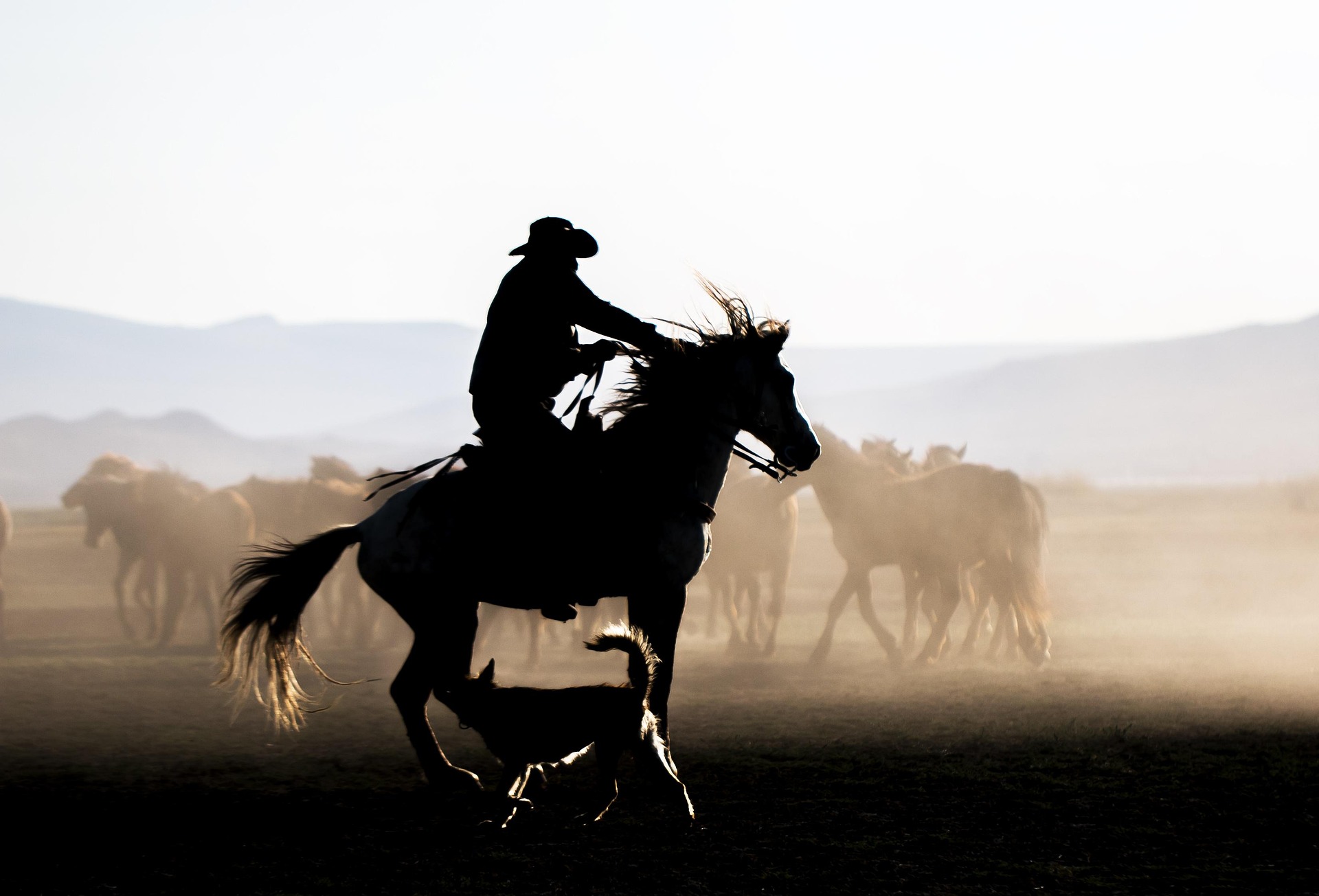 silhouette of man on horse