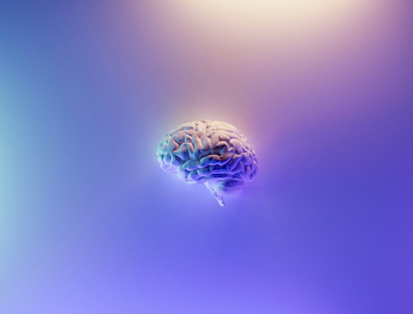image of a human brain on a coloured, mostly-purple background