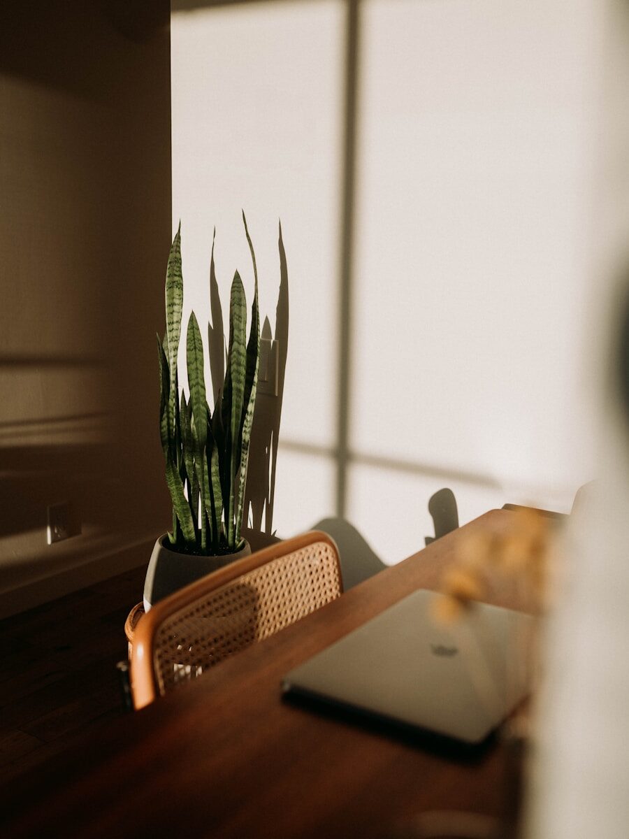 silver macbook on brown desk with chair next to it and plant in background in sunlight