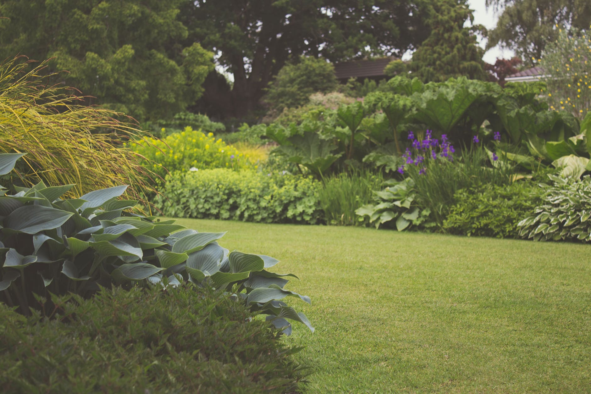 garden with lawn and plants