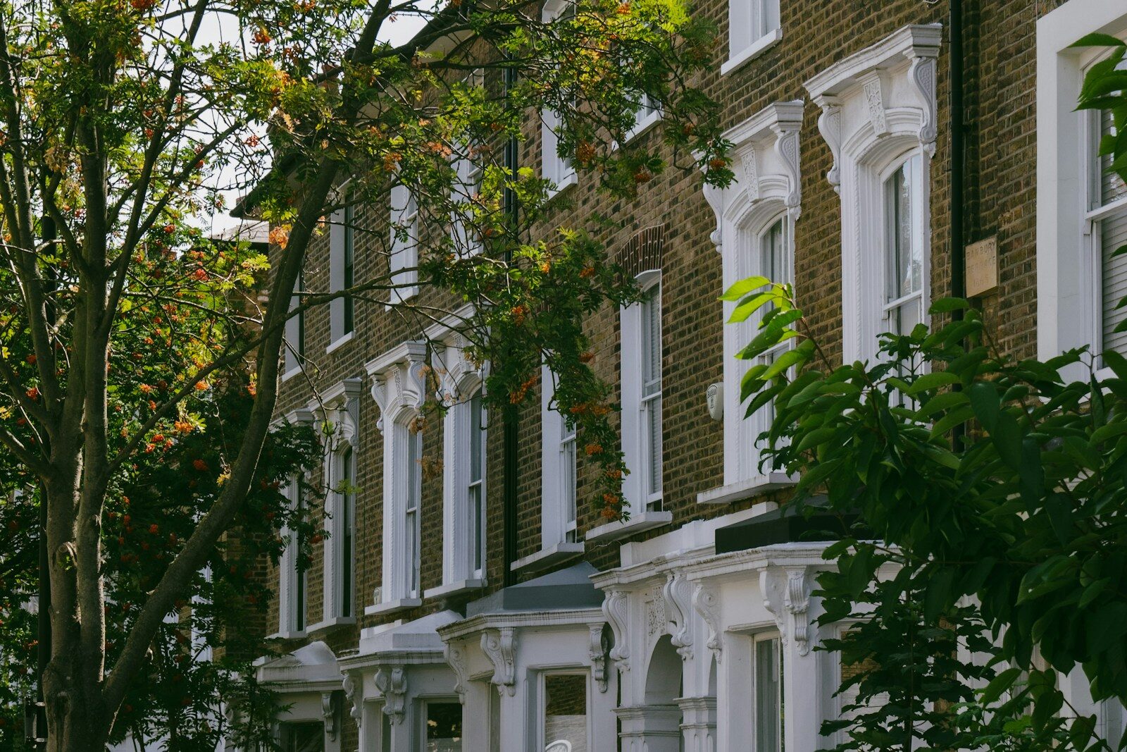 houses with lots if windows on London street with trees