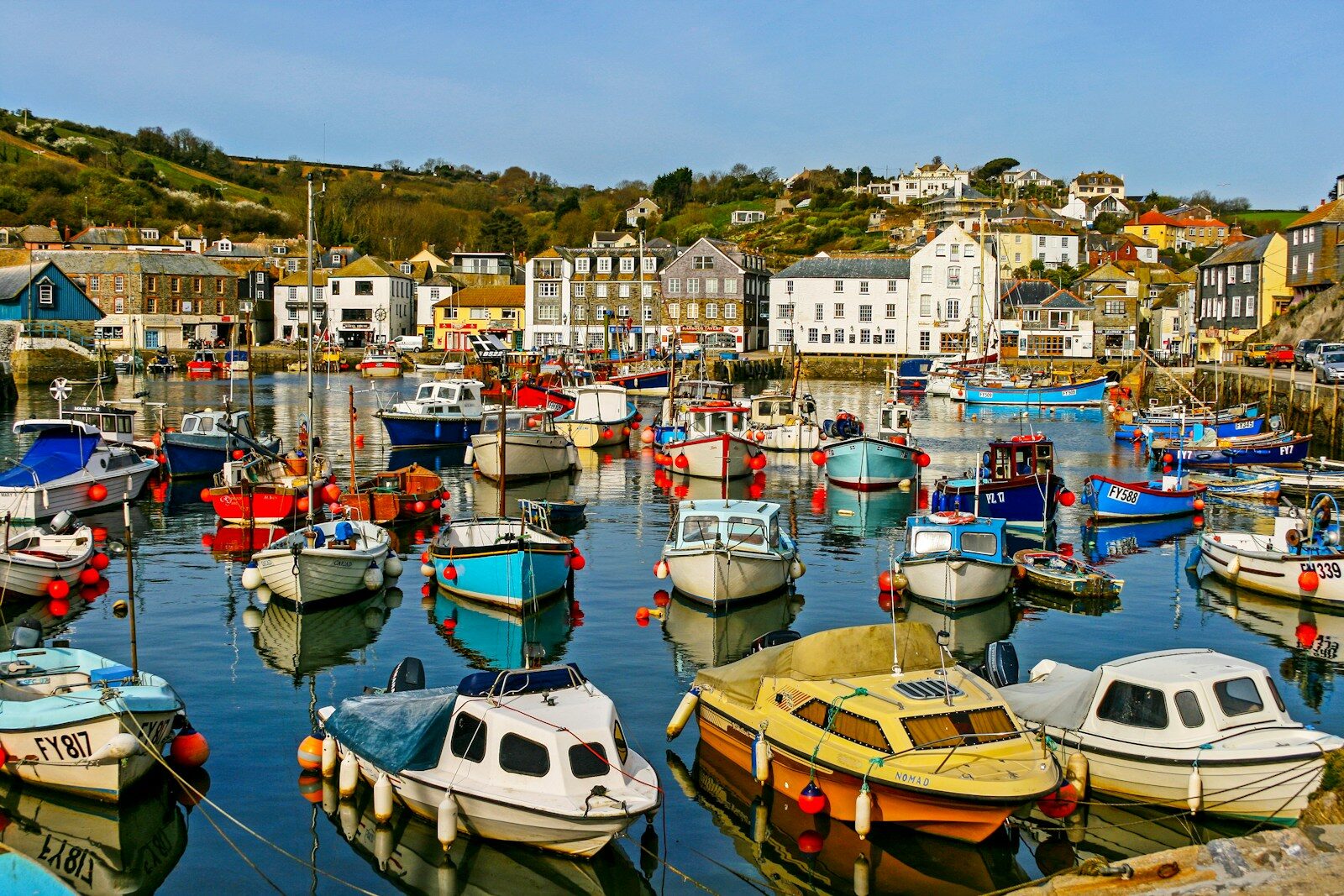 white and yellow boats in harbour during daytime