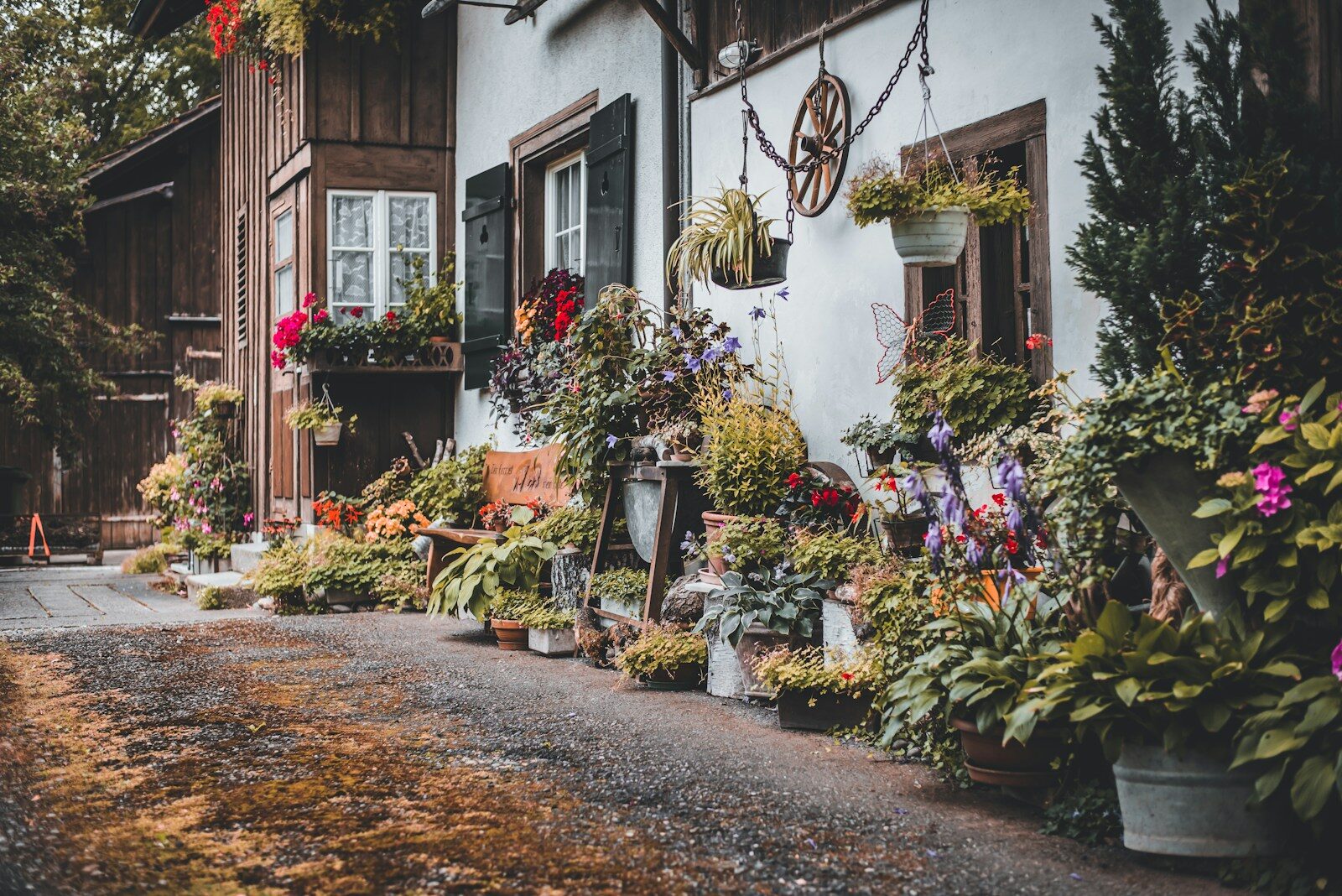 cute cottage with flowers and plants all around the door