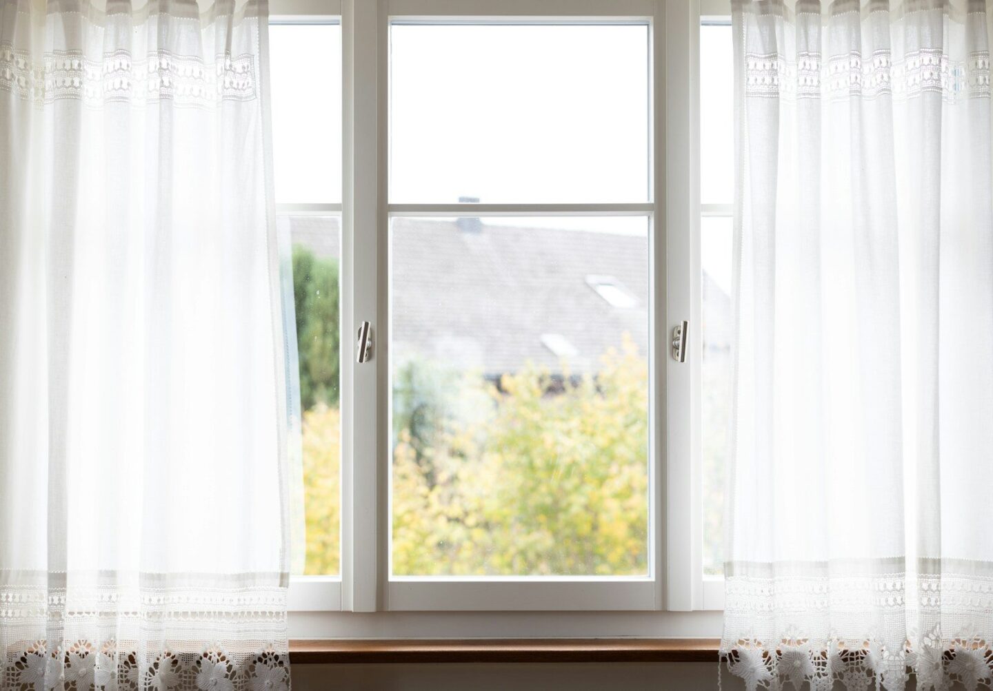 a window with a view of trees outside