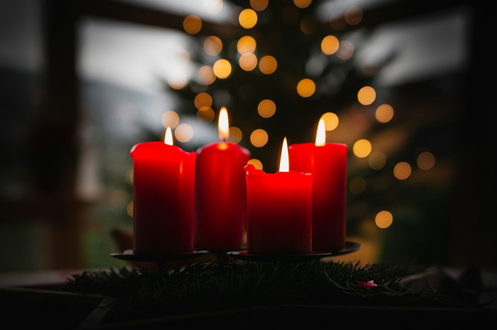 shallow focus photo of four lit red candles with Christmas tree with light on in the background