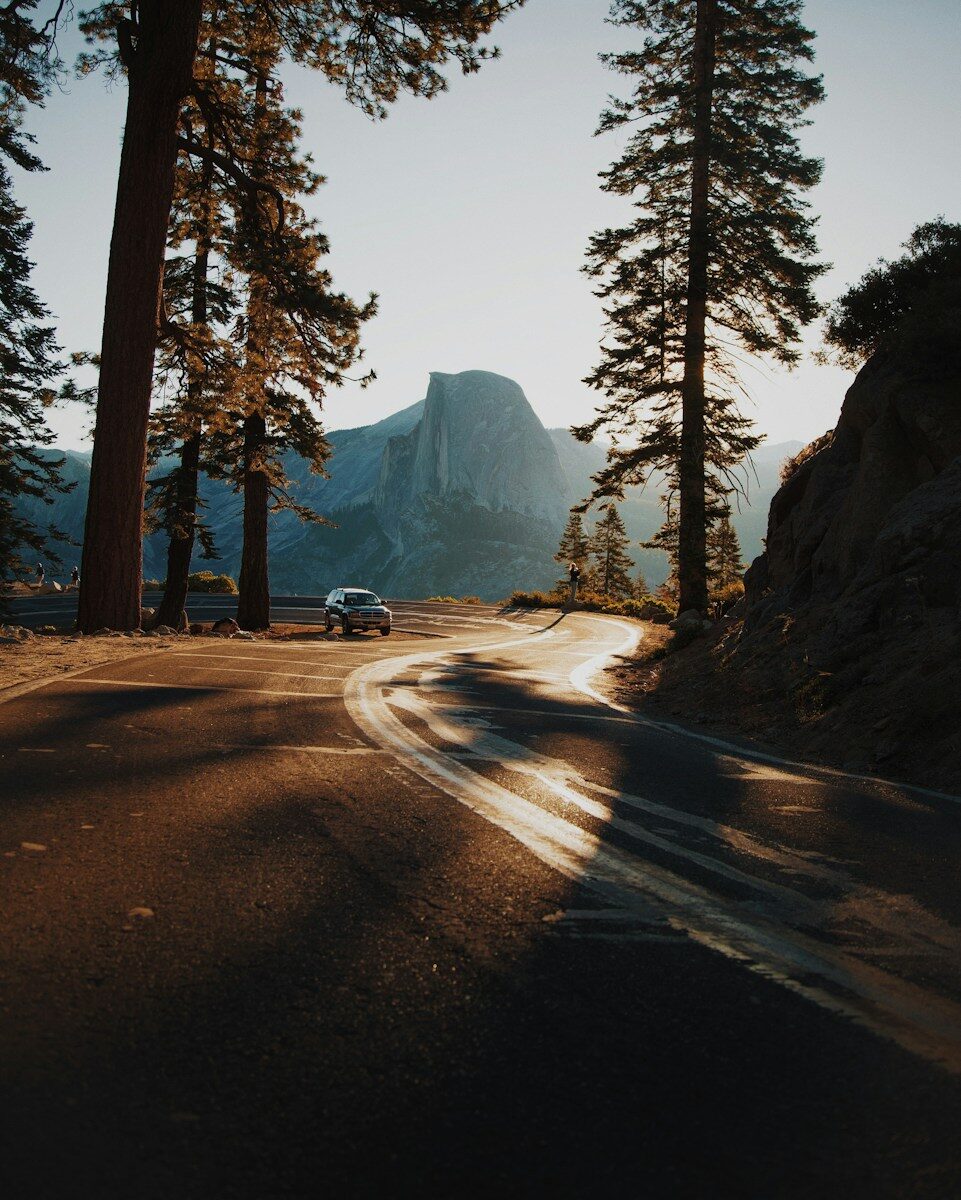 car next to road surrounded by trees