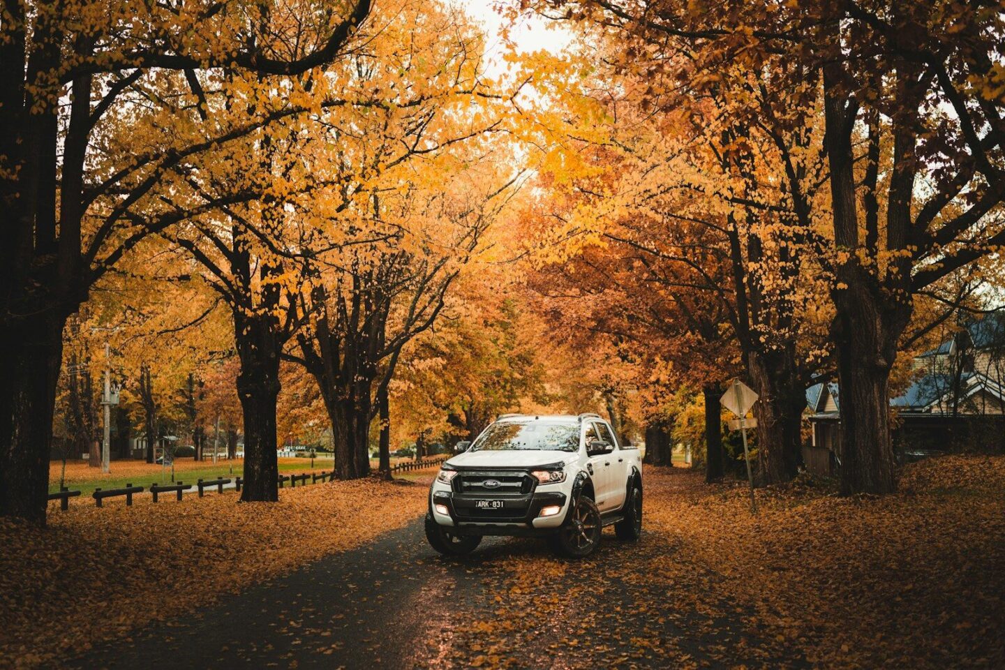 white crew cab pickup truck under trees