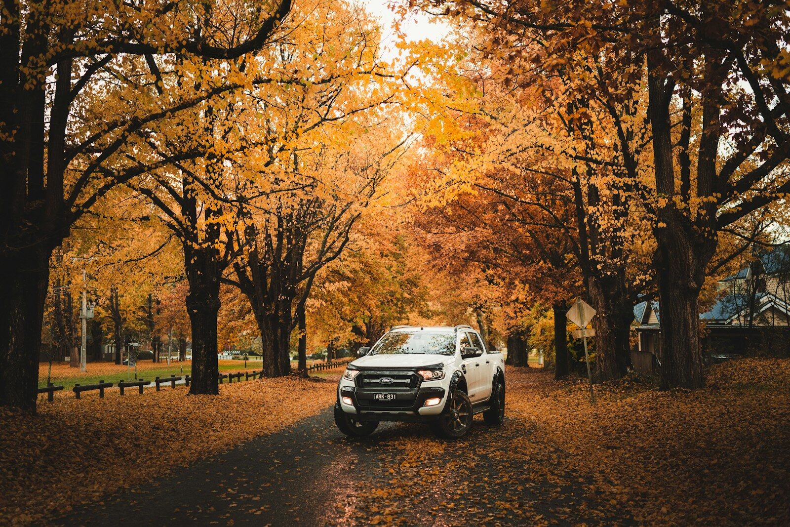 white crew cab pickup truck under trees