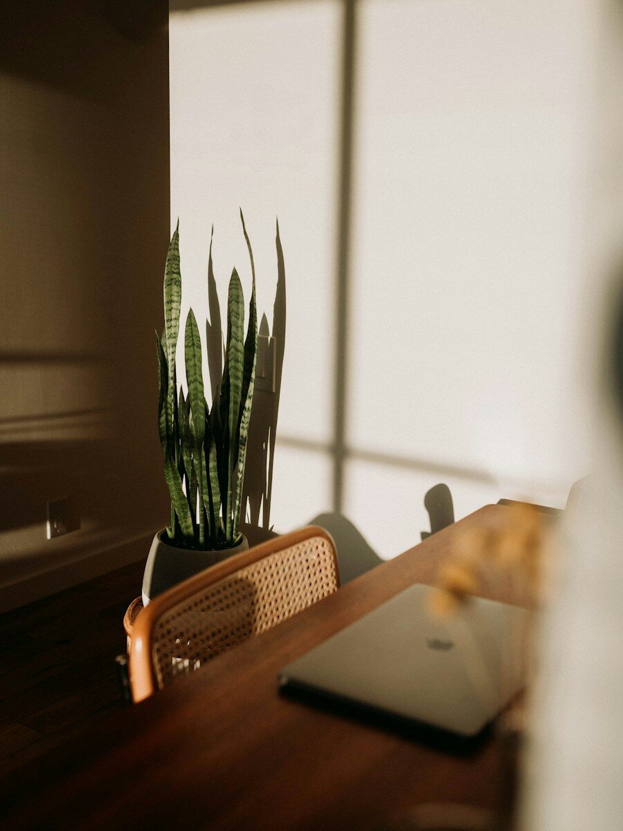 silver macbook on brown wooden table with plant against wall and sunlight streaming in to room