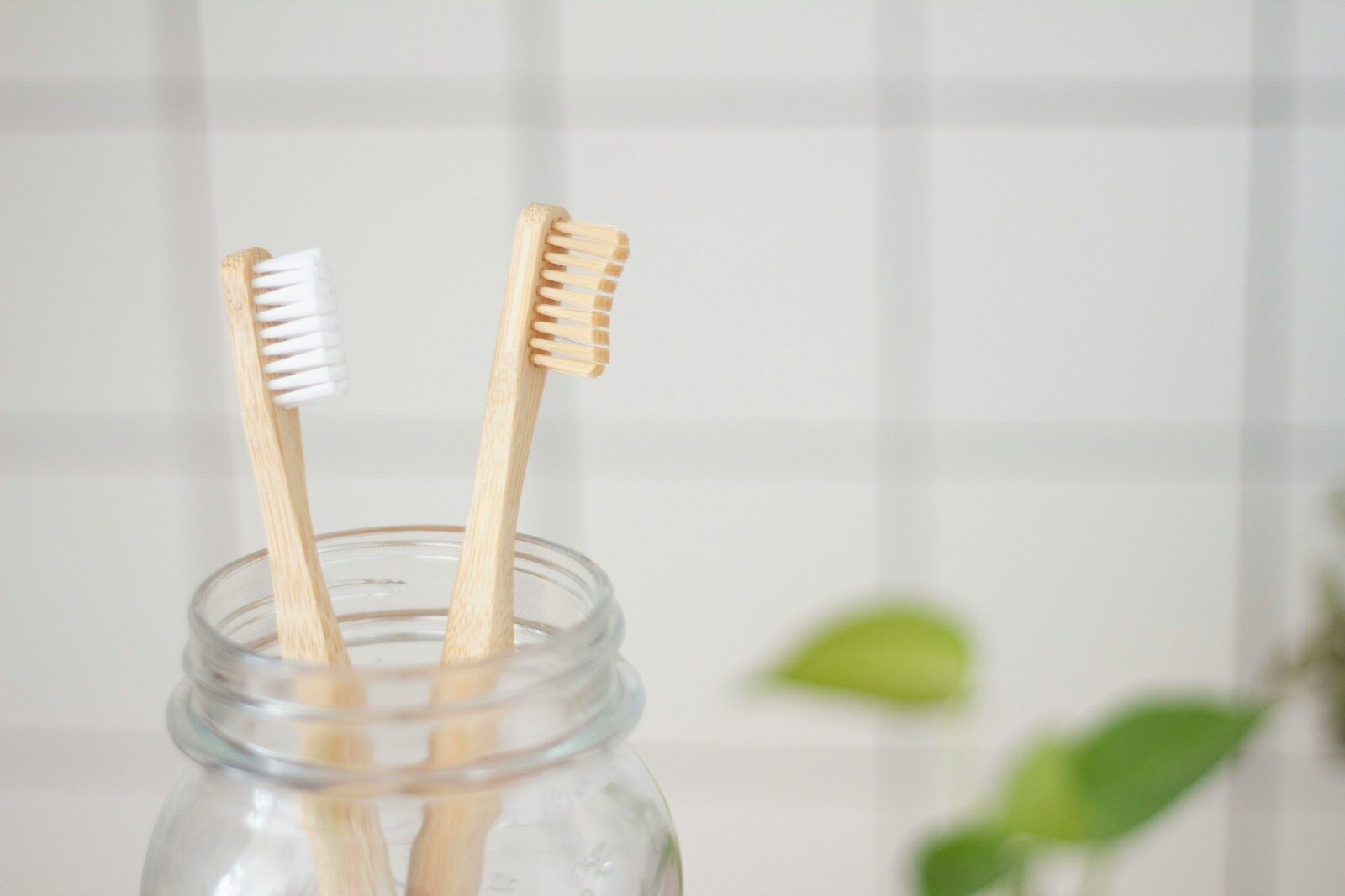 two toothbrushes in mason jar
