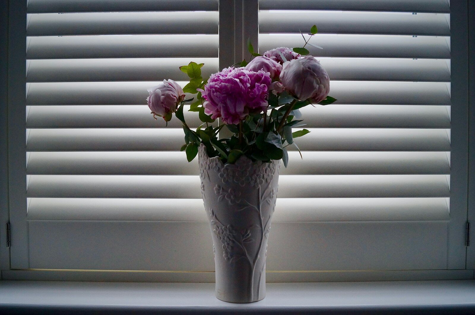 flowers in vase on windowsill in front of window with closed blind